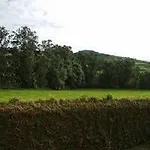 - Garden