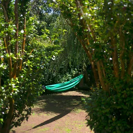 Maison d'hôtes - Garden Várzea