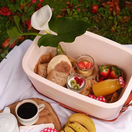 - Garden Гостевой дом Varzea (Azores)