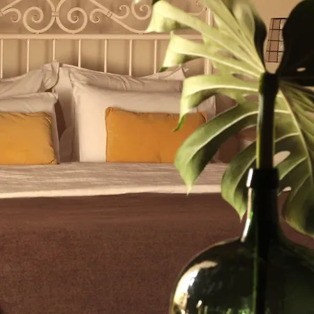 招待所 - Garden Várzea