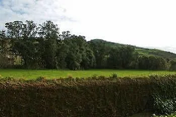 - Garden