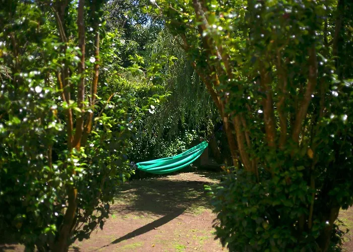 Pensión - Garden Várzea