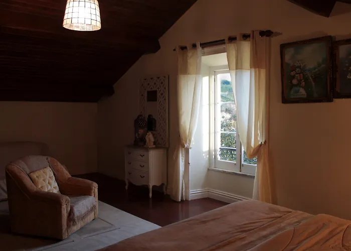 Pensión - Garden 3*